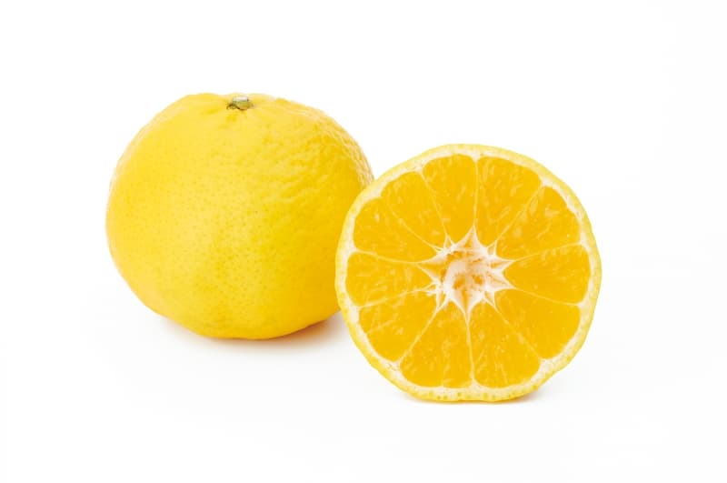 愛媛果試第48号(紅プリンセス)1