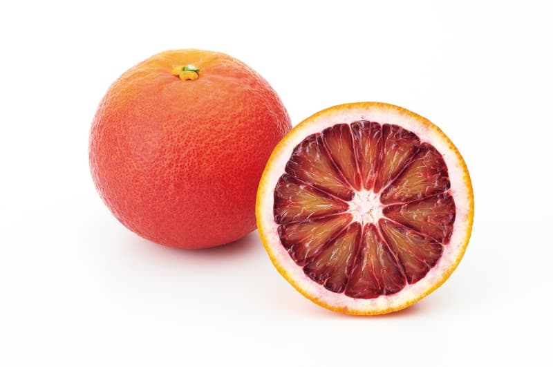 愛媛果試第48号(紅プリンセス)1