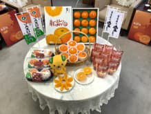 「紅まどんな」一斉販売にかかる県庁表敬訪問